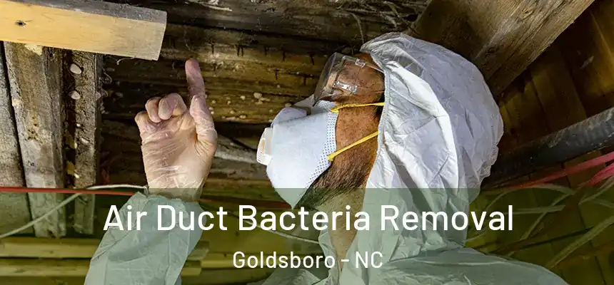  Air Duct Bacteria Removal Goldsboro - NC