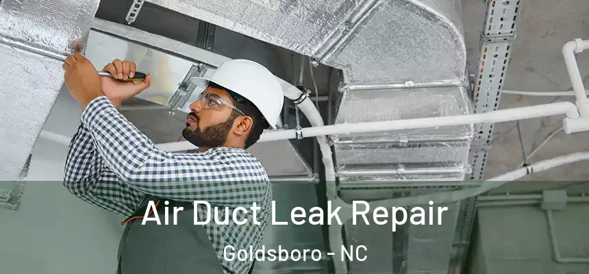  Air Duct Leak Repair Goldsboro - NC