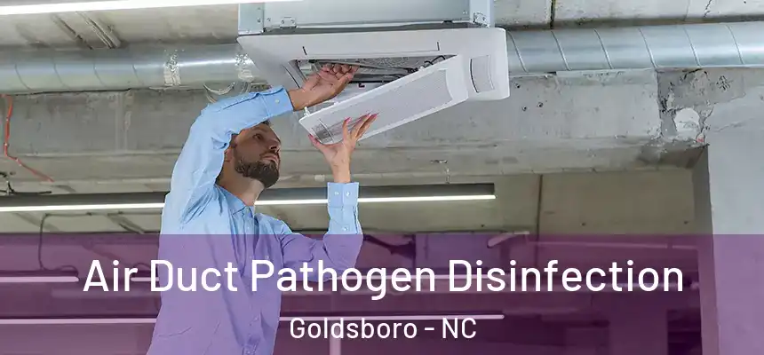  Air Duct Pathogen Disinfection Goldsboro - NC