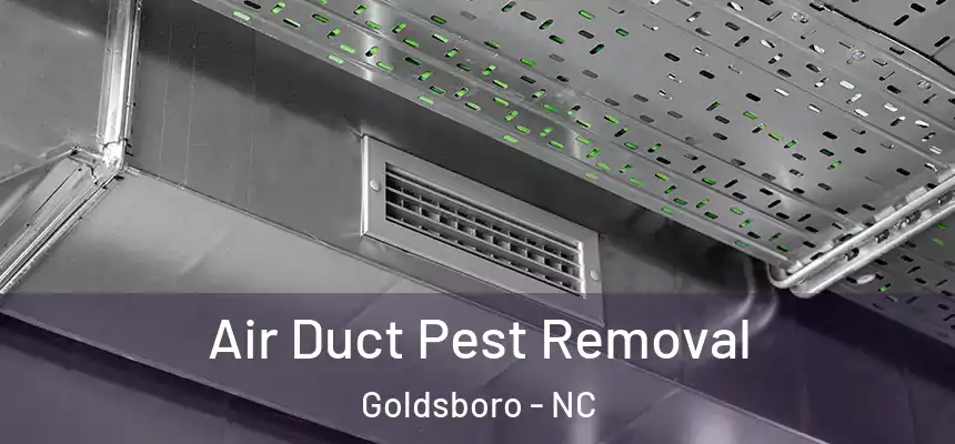  Air Duct Pest Removal Goldsboro - NC