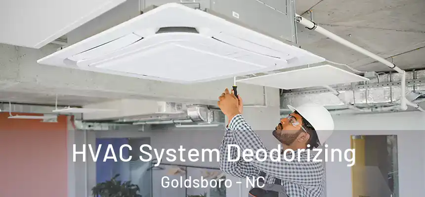  HVAC System Deodorizing Goldsboro - NC