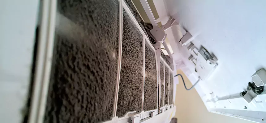 Preventive Air Duct Bacteria Removal in Goldsboro