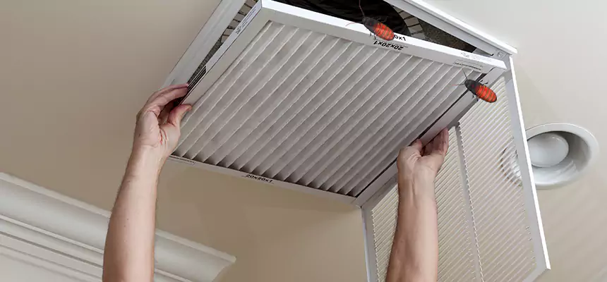Preventive Cockroach-Proofing for Ducts in Goldsboro