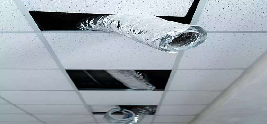 Affordable HVAC Sanitizing After Pest Removal in Goldsboro