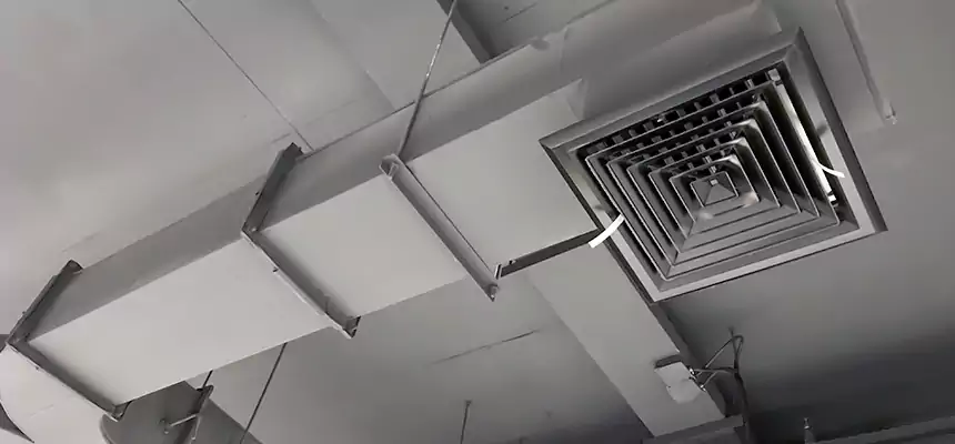 Restorative Allergy Relief Vent Cleaning – Coil, Blower & Housing Detail in Goldsboro