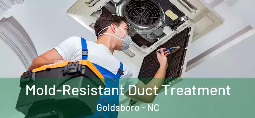  Mold-Resistant Duct Treatment Goldsboro - NC