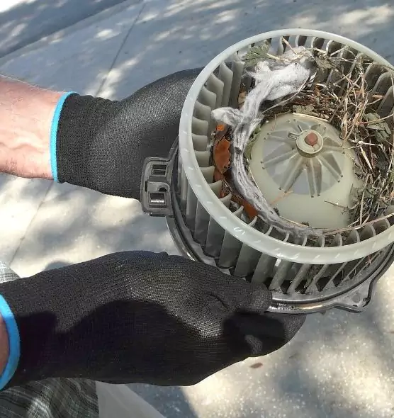 About Air Duct Rat Removal in Goldsboro, NC