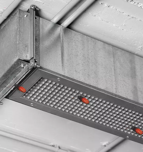 Affordable Insect Removal from Air Ducts in Goldsboro, NC