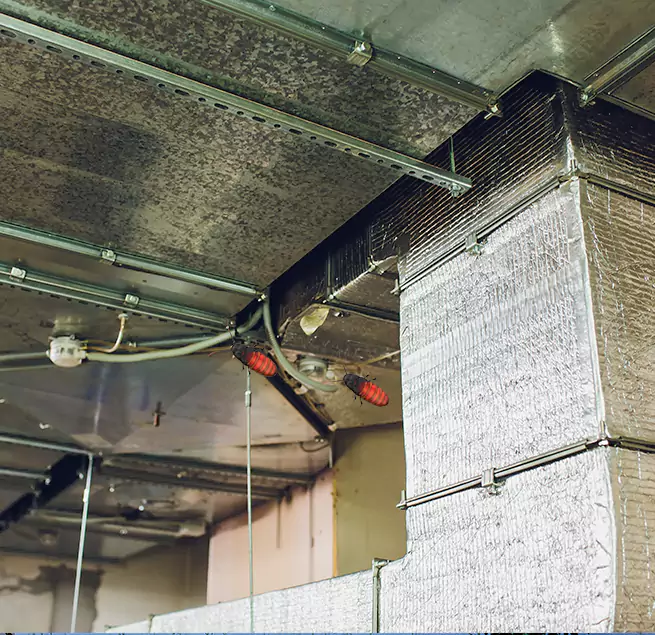 Why Homeowners & Businesses Trust Us in Goldsboro, NC?