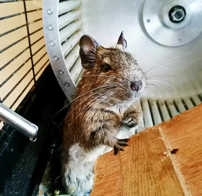 Why Homeowners & Businesses Trust Us Goldsboro, NC?